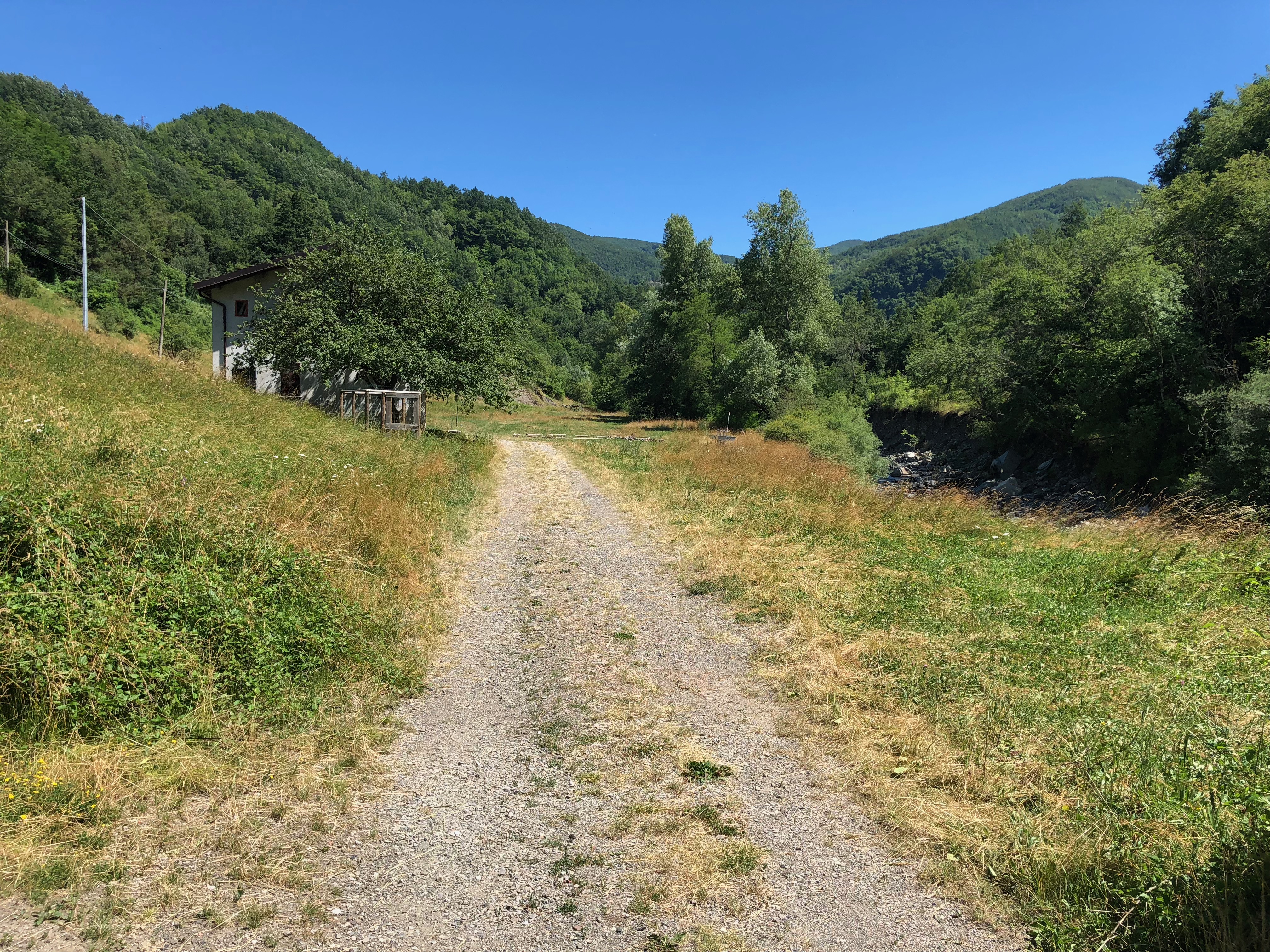 Strada di accesso ai prati tra i monti