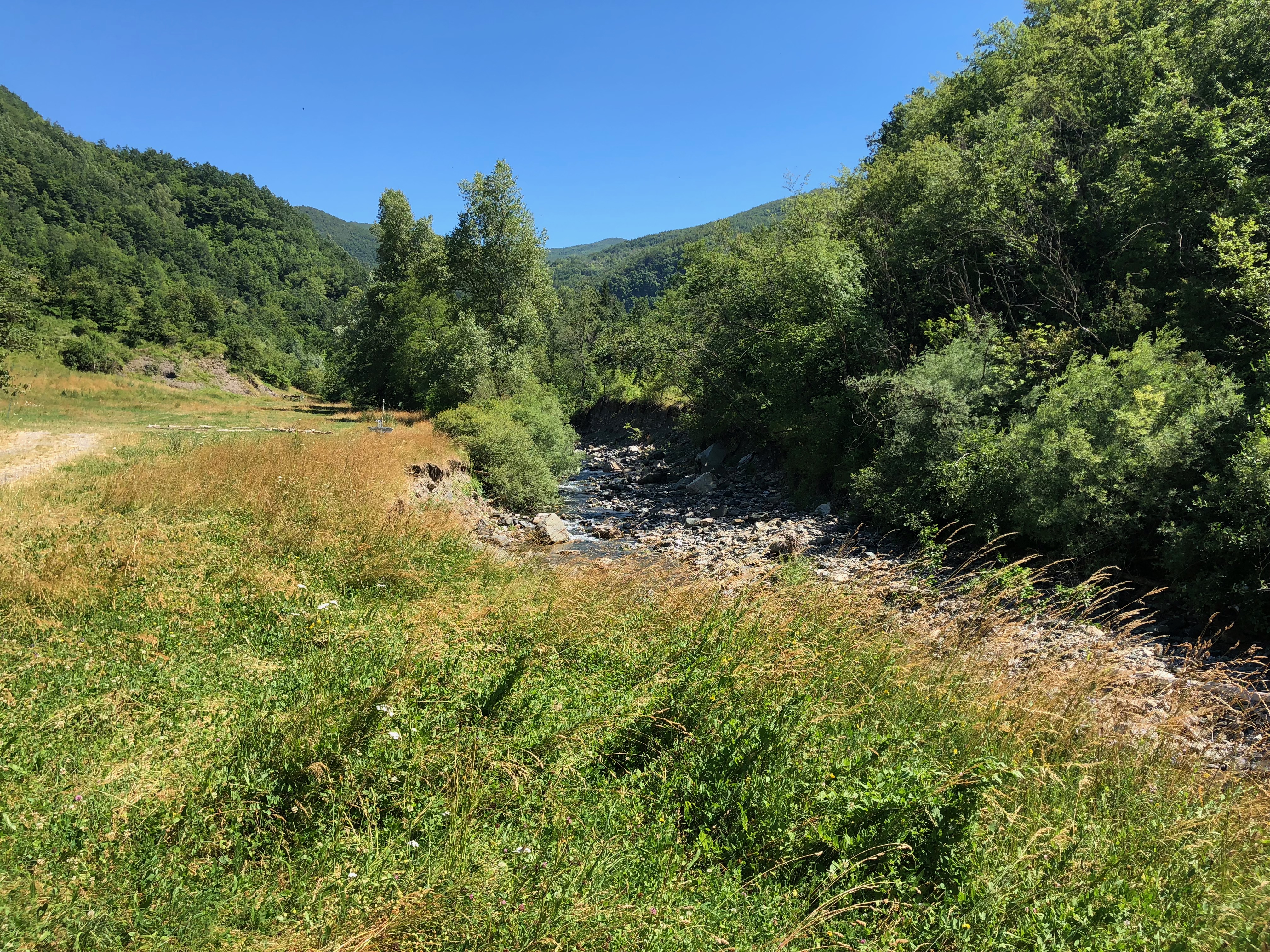 Prato lungo il torrente